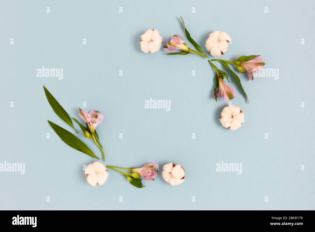 Square frame made of alstroemeria flowers, cotton and green leaves on a ...
