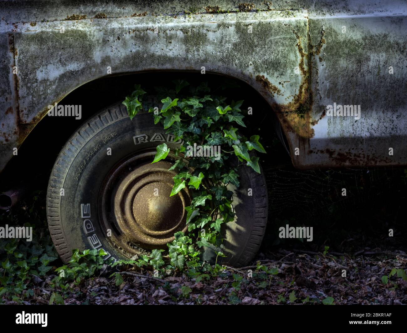 Abandoned truck withovergrown weeds and vine, drmatic light, Pennsylvania, USA Stock Photo