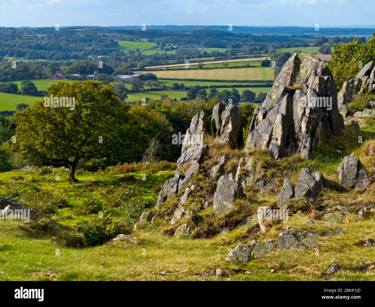 Igneous rocks at Beacon Hill Country Park near Loughborough in Leicestershire England UK Stock Photo