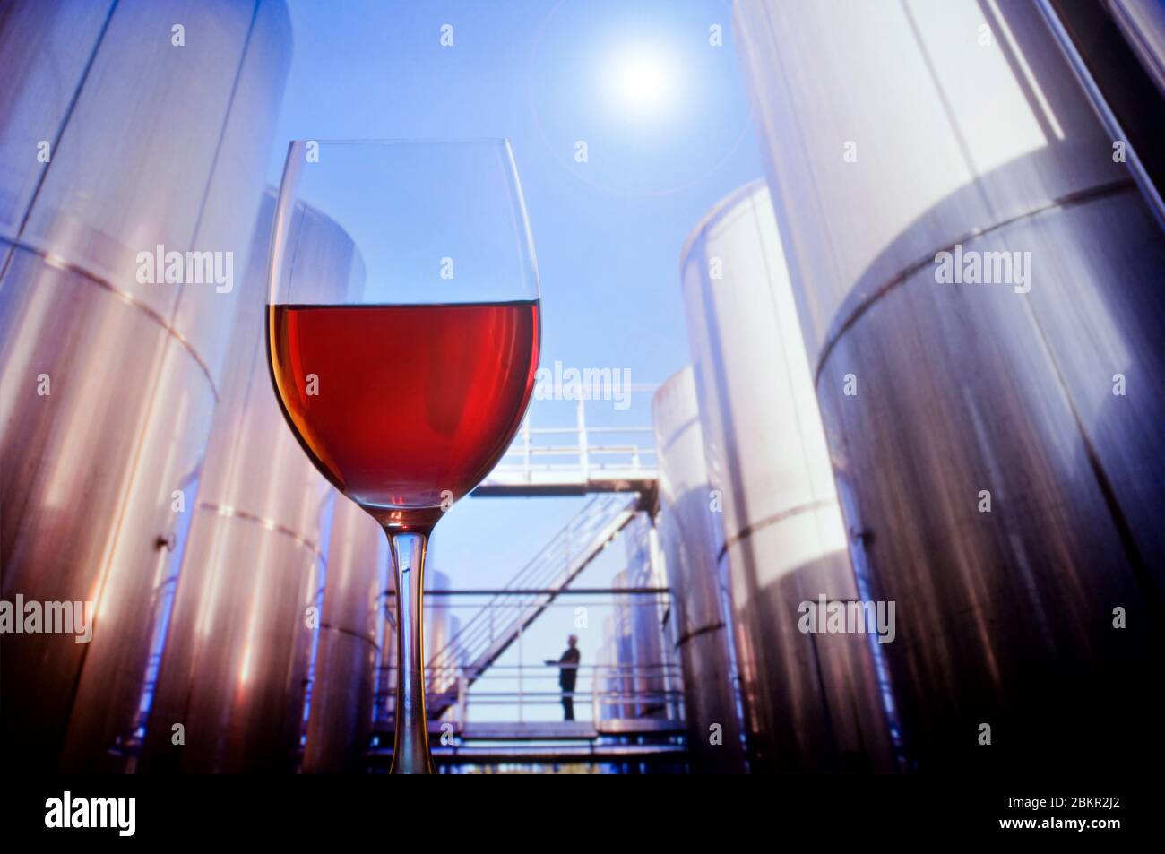 Red wine glass and large grape maturation tanks in high tech external outdoors sunny modern large scale wine production facility  Conceptual wine production America USA  Napa California USA Stock Photo