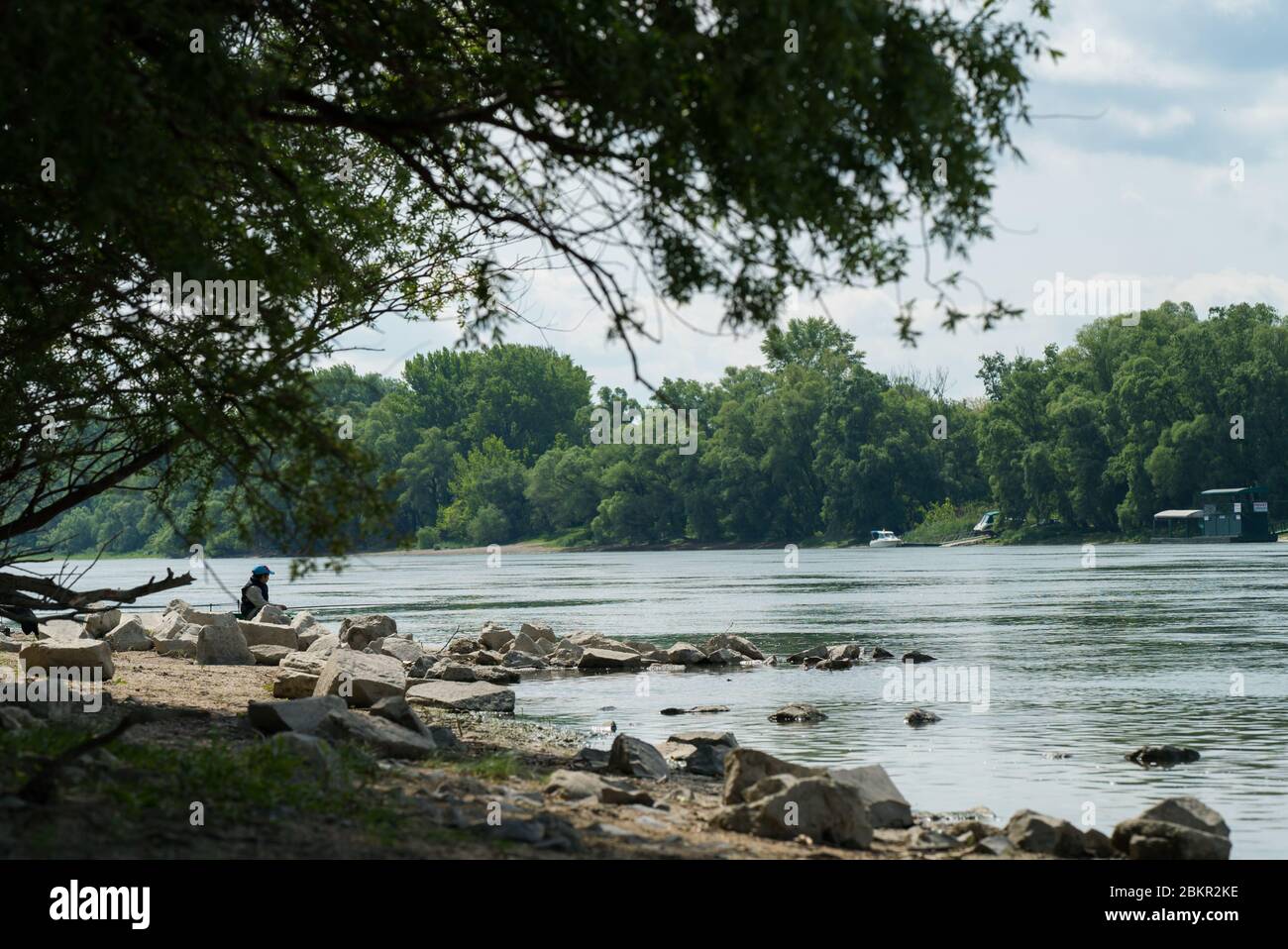 Angler fishing at the untouched bank of the Danube in Hungary, Europe. Green trees, blue sky in summer. Stock Photo