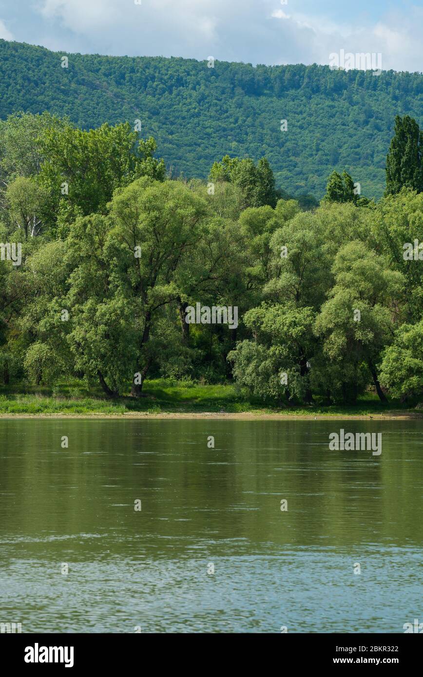 Untouched bank of the Danube in Hungary, Europe. Green trees, blue sky in summer. Stock Photo