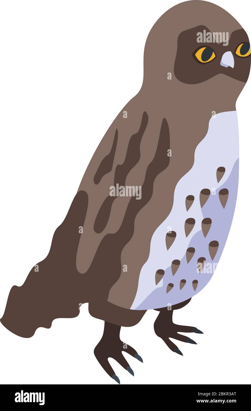 Forest owl icon, isometric style Stock Vector