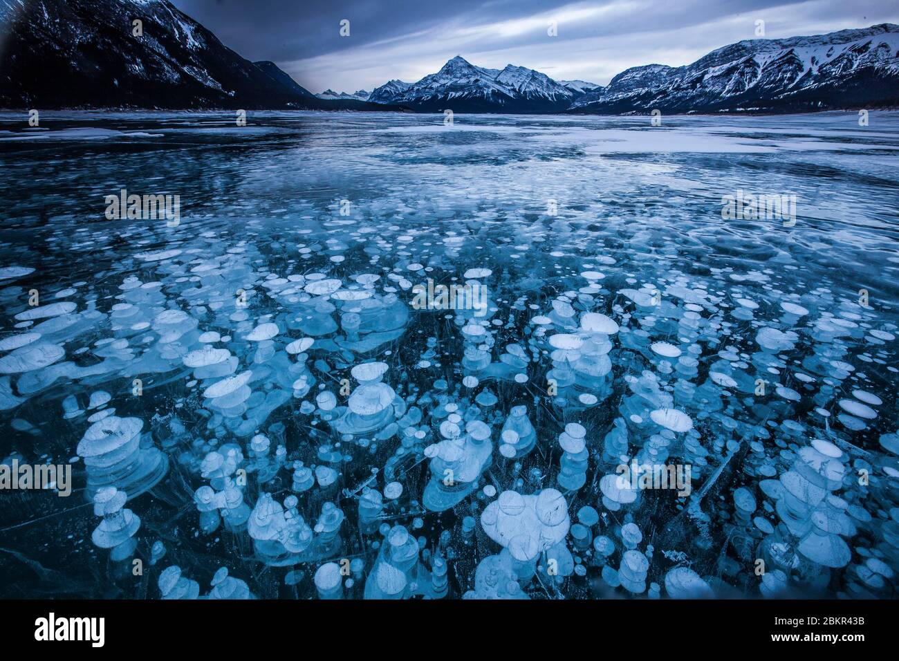 Canada, Alberta, Lake Abraham, methane bubbles caught in the ice Stock