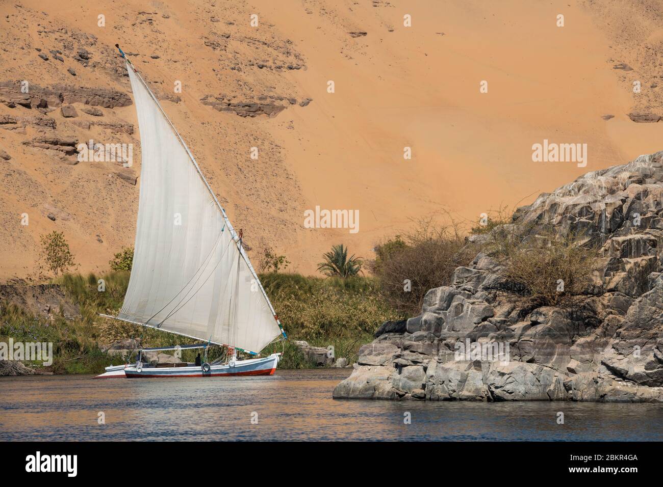 Egypt, Upper Egypt, near Elephanine island, sailor on a felucca sailing on the Nile Stock Photo