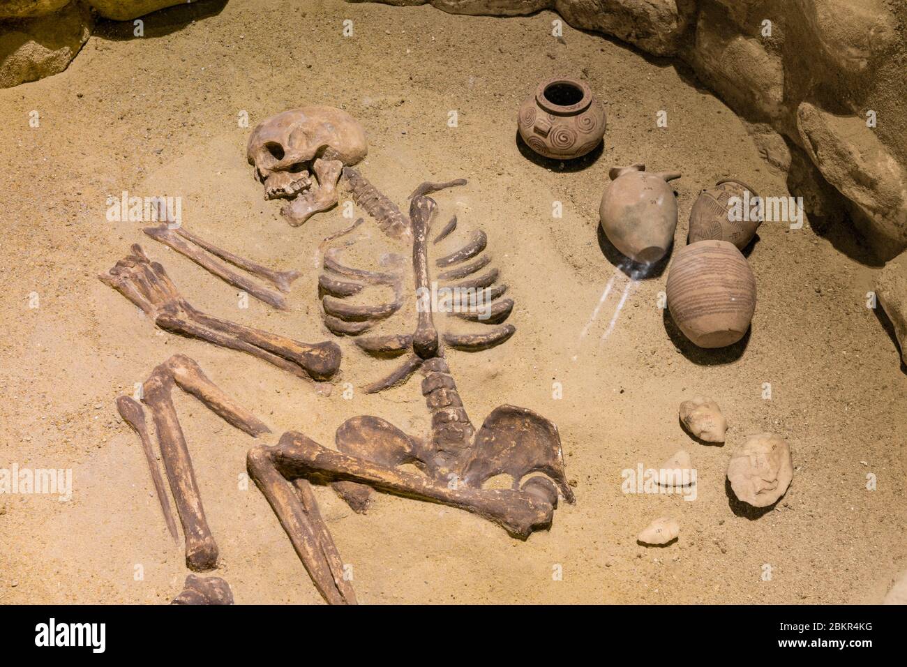 Egypt, Upper Egypt, Nile valley, Aswan, Nubia Museum, Nagada period burial Stock Photo