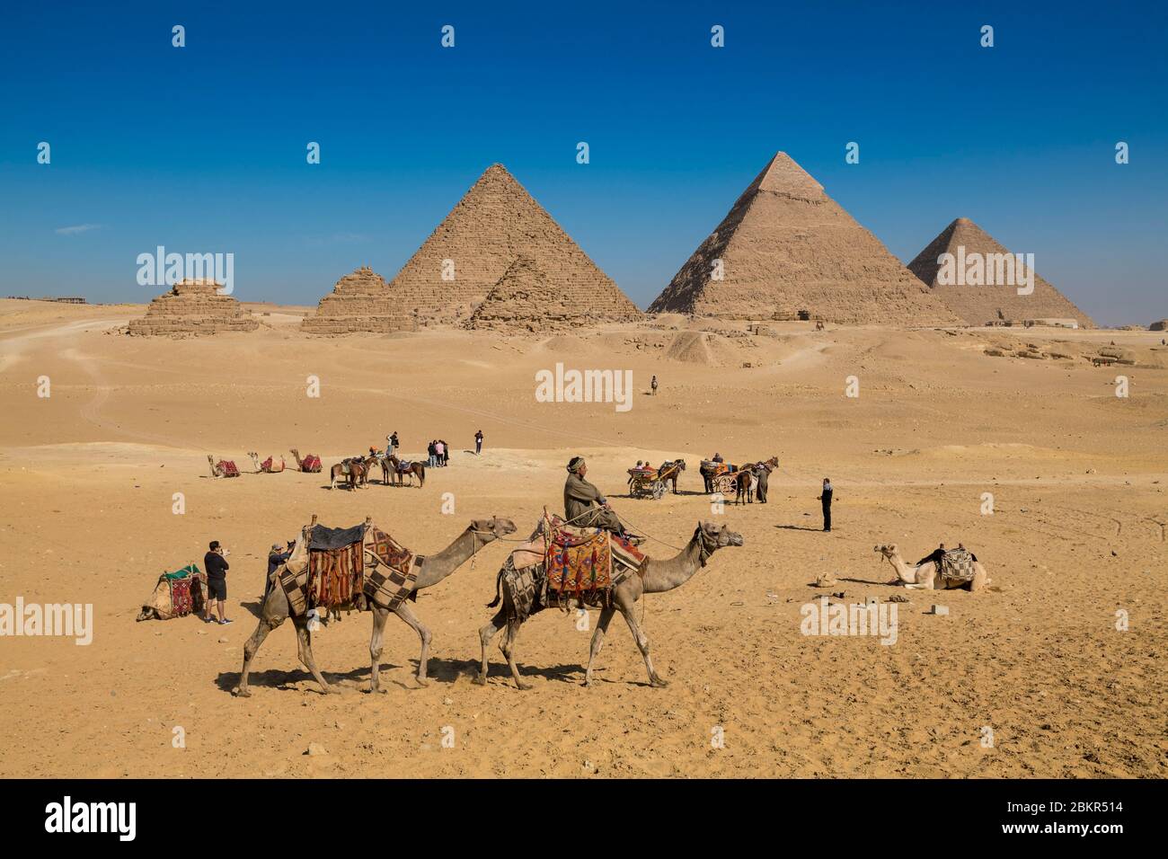 Egypt, Cairo, Giza, listed as World Heritage by UNESCO, Menkaure, Chephren and Cheops pyramids, camel drivers Stock Photo