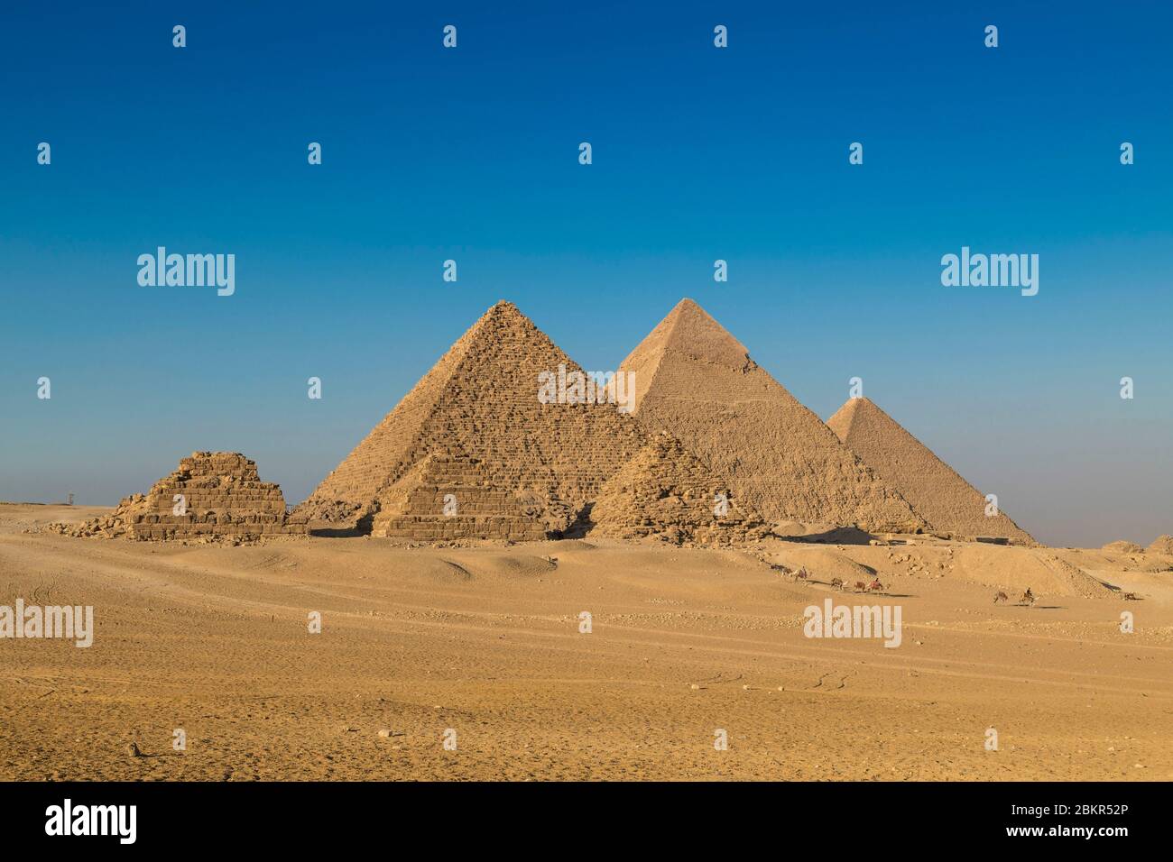 Egypt, Cairo, Giza, listed as World Heritage by UNESCO, Menkaure, Chephren and Cheops pyramids, papuan chief Mundiya Kepanga, camel driver Stock Photo