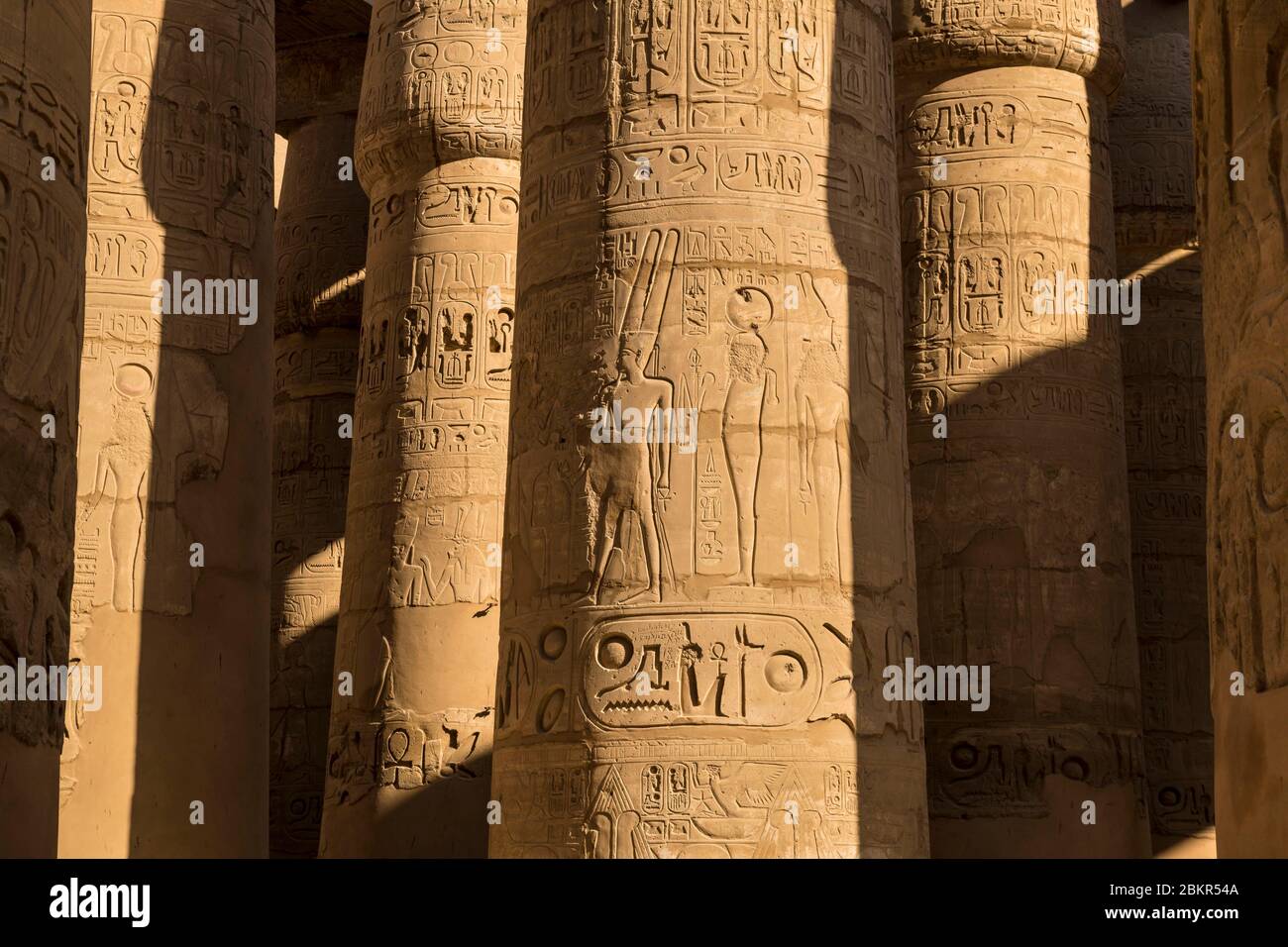 Egypt, Upper Egypt, Nile valley, Luxor, Karnak, listed as World Heritage by UNESCO, temple of Amun, big hypostyle hall, details of bas relief Stock Photo