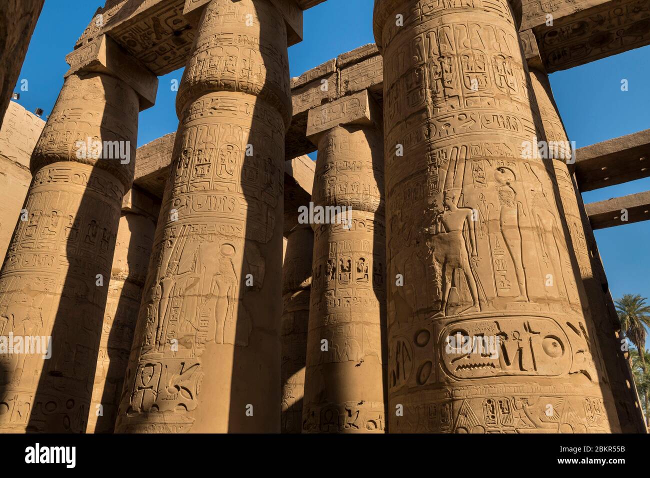 Egypt, Upper Egypt, Nile valley, Luxor, Karnak, listed as World Heritage by UNESCO, temple of Amun, big hypostyle hall, details of bas relief Stock Photo