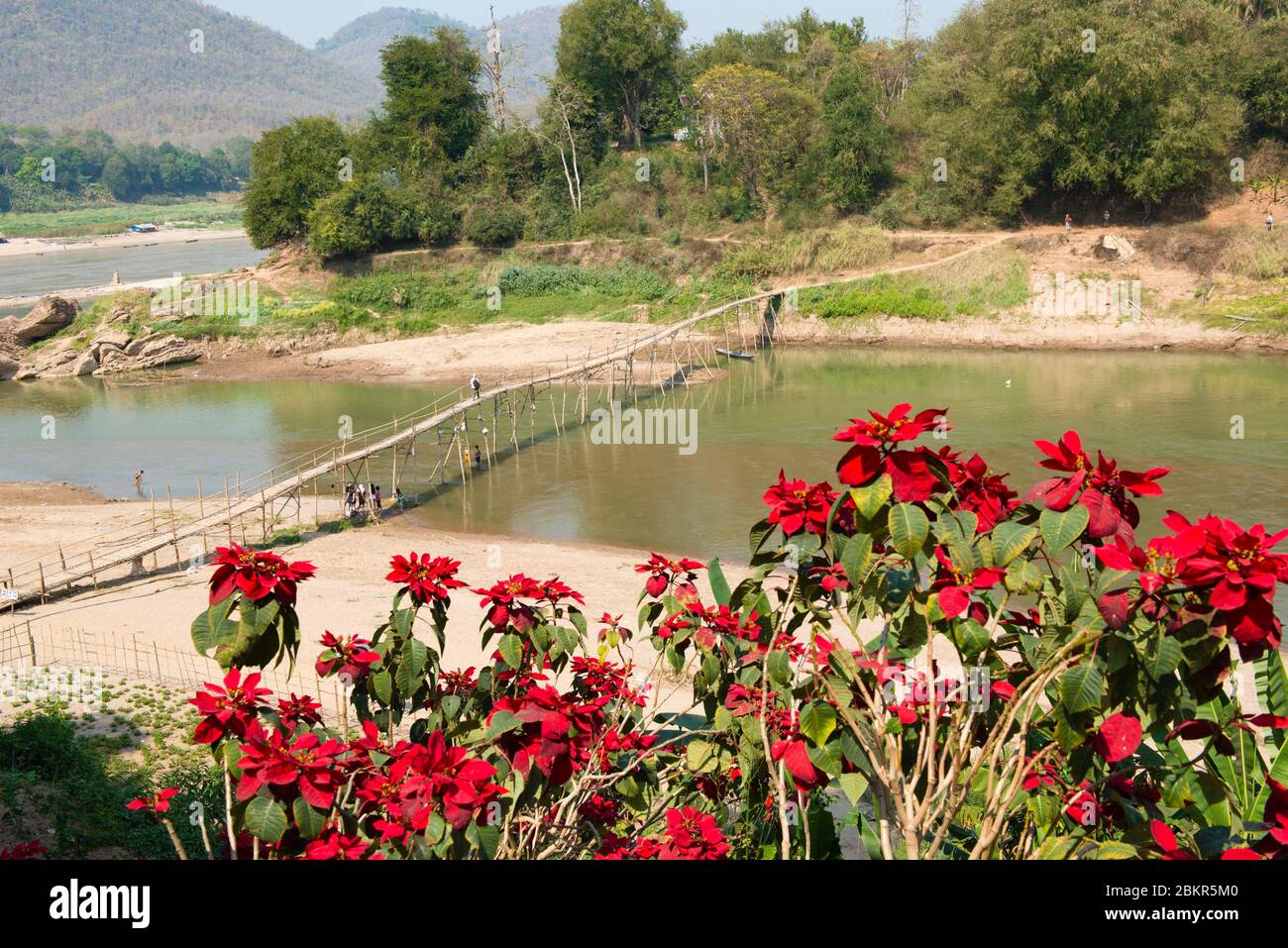 Laos, Luang Prabang city classified UNESCO world heritage, bamboo bridge over Nam Khan river Stock Photo