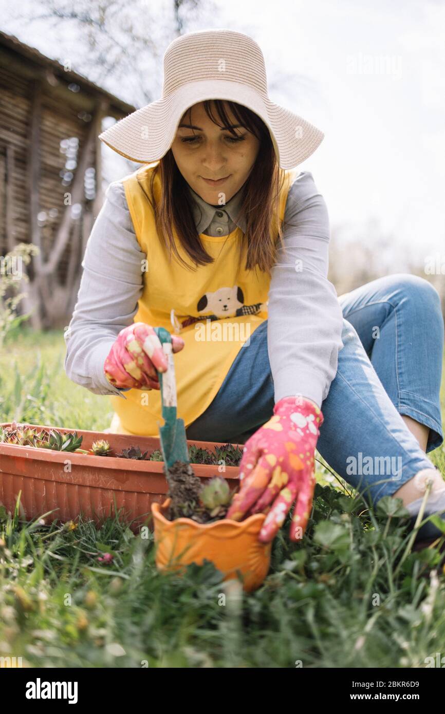 Gardener woman holding hand shovel and putting plant into pot. Girl wearing  sun hat putting plant into pot using shovel while laying on lawn in backya  Stock Photo - Alamy