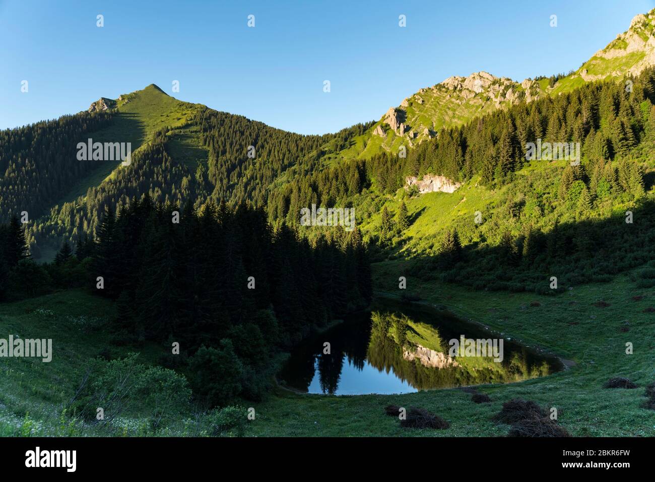 france-haute-savoie-74-massif-du-chablais-vall-e-d-aulps-saint