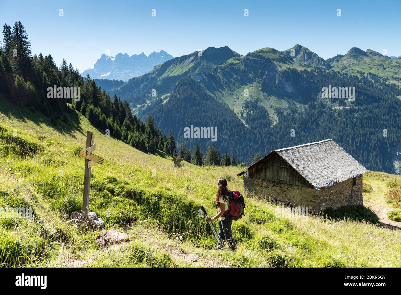 France, Haute-Savoie (74), Massif du Chablais, La Chapelle-d'Abondance, protected natural area of the Mont de Grange, hiker climbing towards the Pointe des Mattes (2010m) Stock Photo