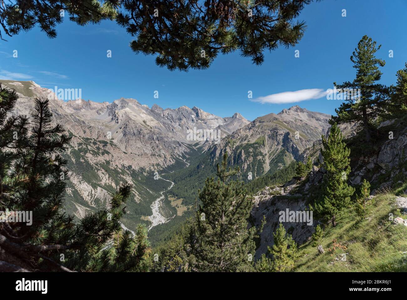 France, Hautes-Alpes (05), Queyras Regional Nature Park, Val d'Escreins Nature Reserve, Guillestre, Col de la Coulette, view of the Vallon Laugier from the Vars ridge between the Col de la Coulette (2362m) and the Col de la Scie (2362m) Stock Photo