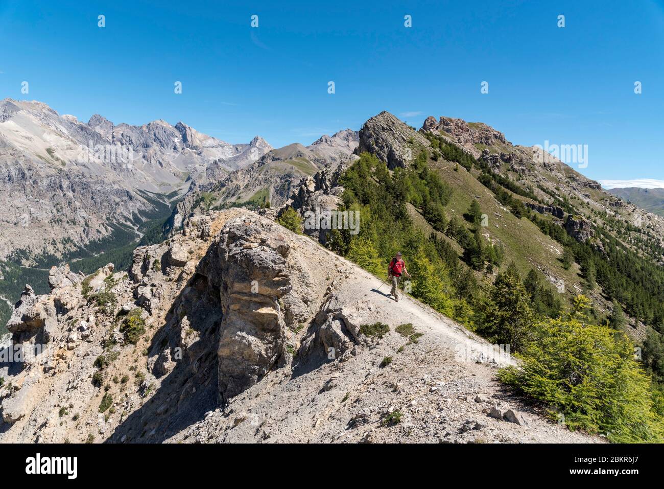 France, Hautes-Alpes (05), Queyras Regional Nature Park, Val d'Escreins Nature Reserve, Guillestre, Col de la Coulette, hiker on the Vars ridge between the Col de la Coulette (2362m) and the Col de la Scie (2362m) Stock Photo