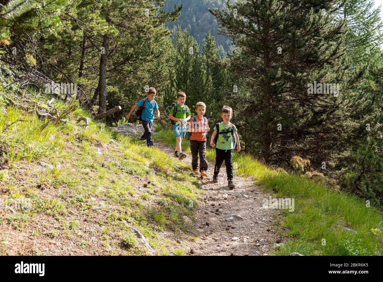 France, Hautes-Alpes (05), Queyras Regional Nature Park, Arvieux, hikers walking towards the Refuge de Furfande Stock Photo