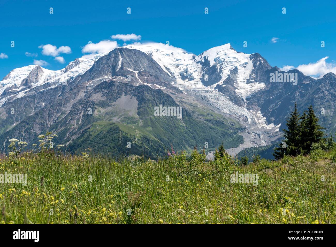 France, Haute-Savoie (74), Saint-Gervais, le Prarion, view of the Mont-Blanc massif from the path leading to the summit of le Prarion Stock Photo