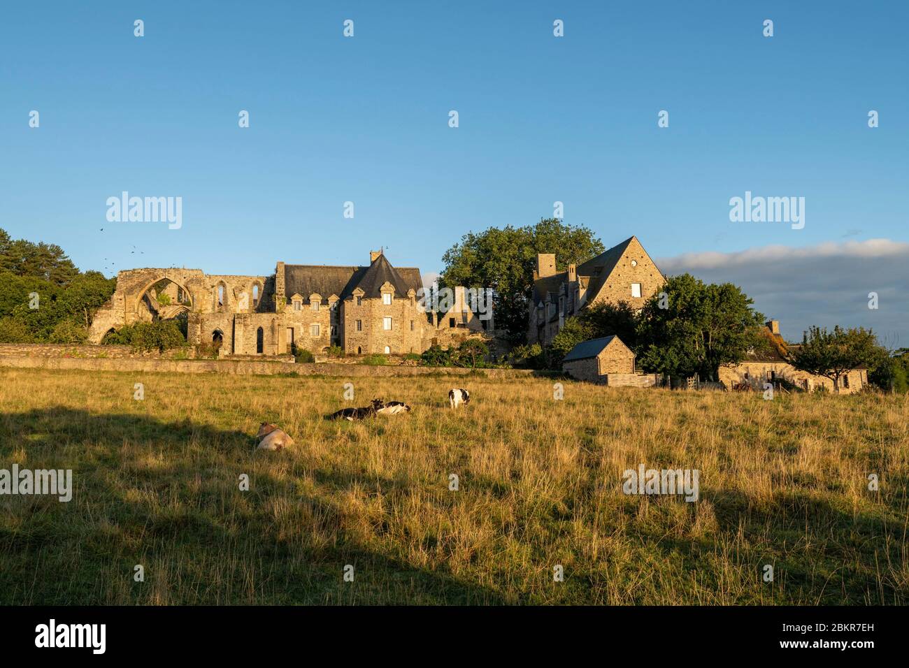 France, C?tes d'Armor, Paimpol, cycle tourists in front of Beauport Abbey at daybreak, along the Maritime Bicycle route Stock Photo