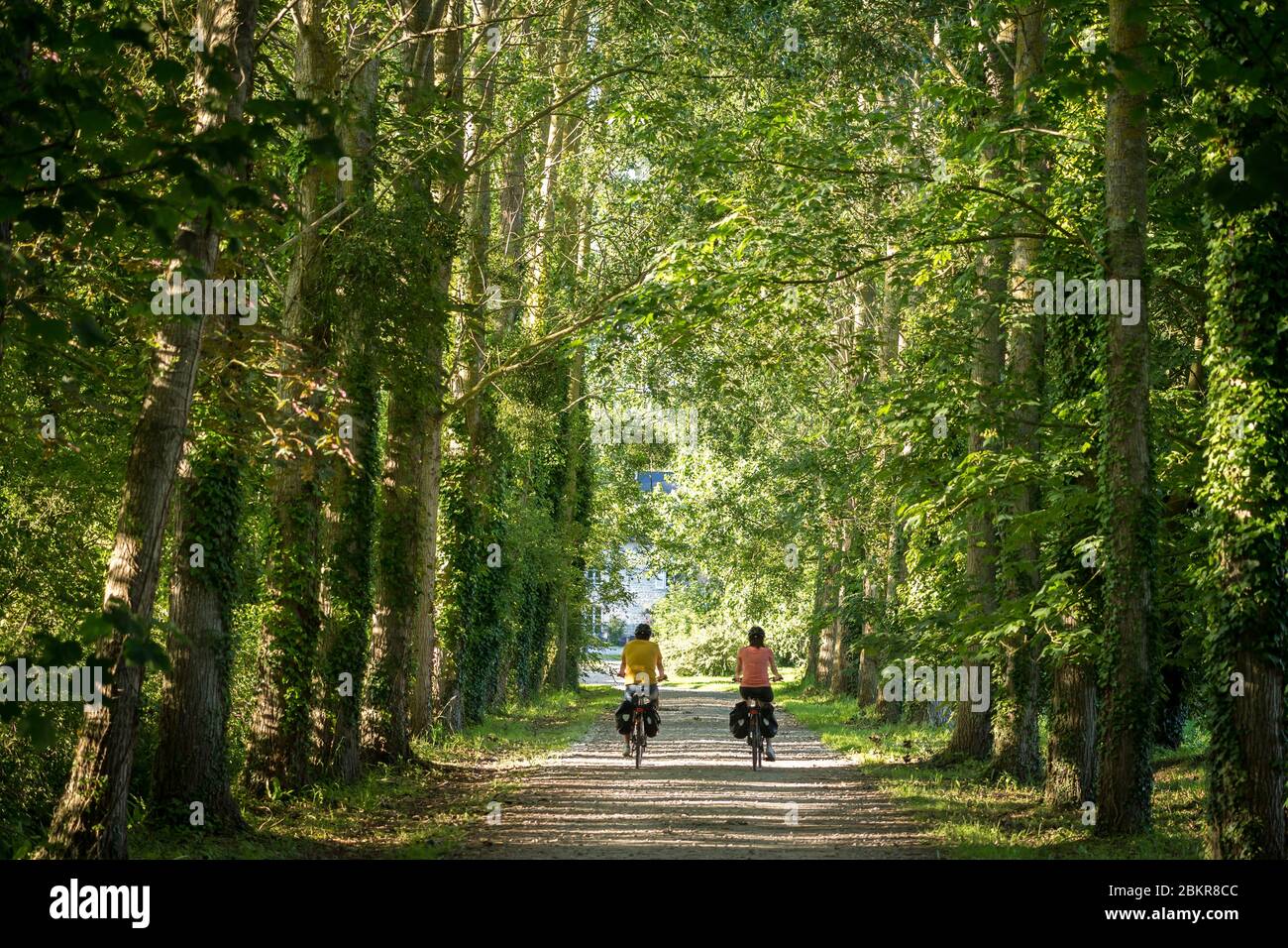 France, Manche, SainteMarieduMont, hotel restaurant Le domaine du