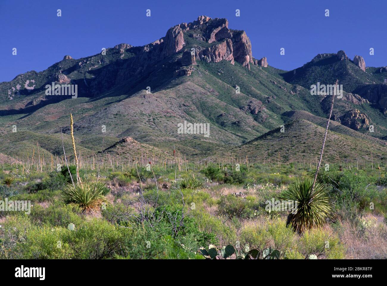 Chisos Mountains, Big Bend National Park, Texas Stock Photo - Alamy