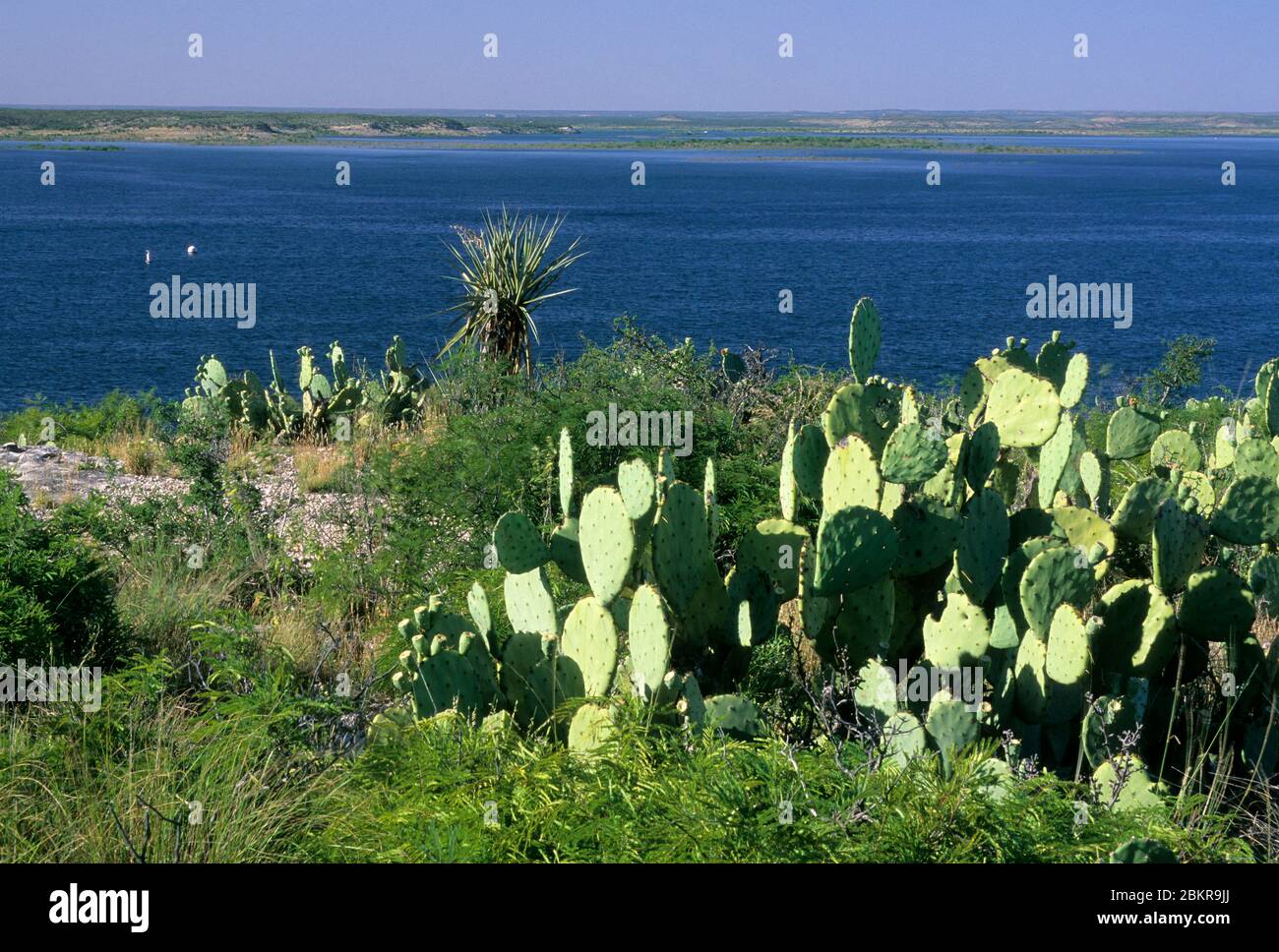 Amistad Reservoir, Amistad National Recreation Area, Texas Stock Photo