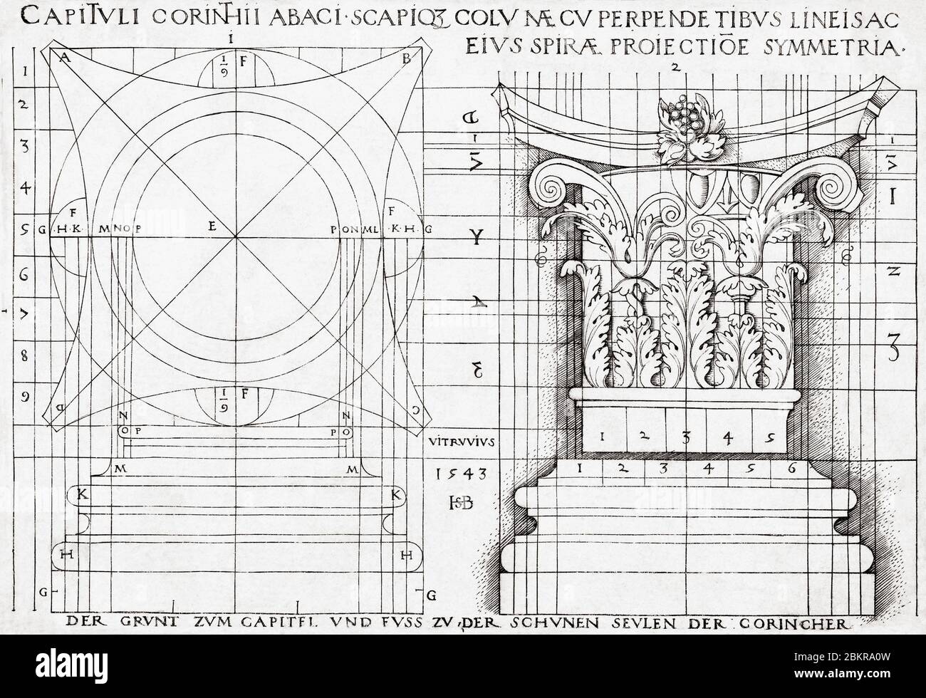 Cross section of a Corinthian capital and proportional drawing of same.  Engraving by Hans Sebald Beham after a copy of a work by Vitruvius. Stock Photo