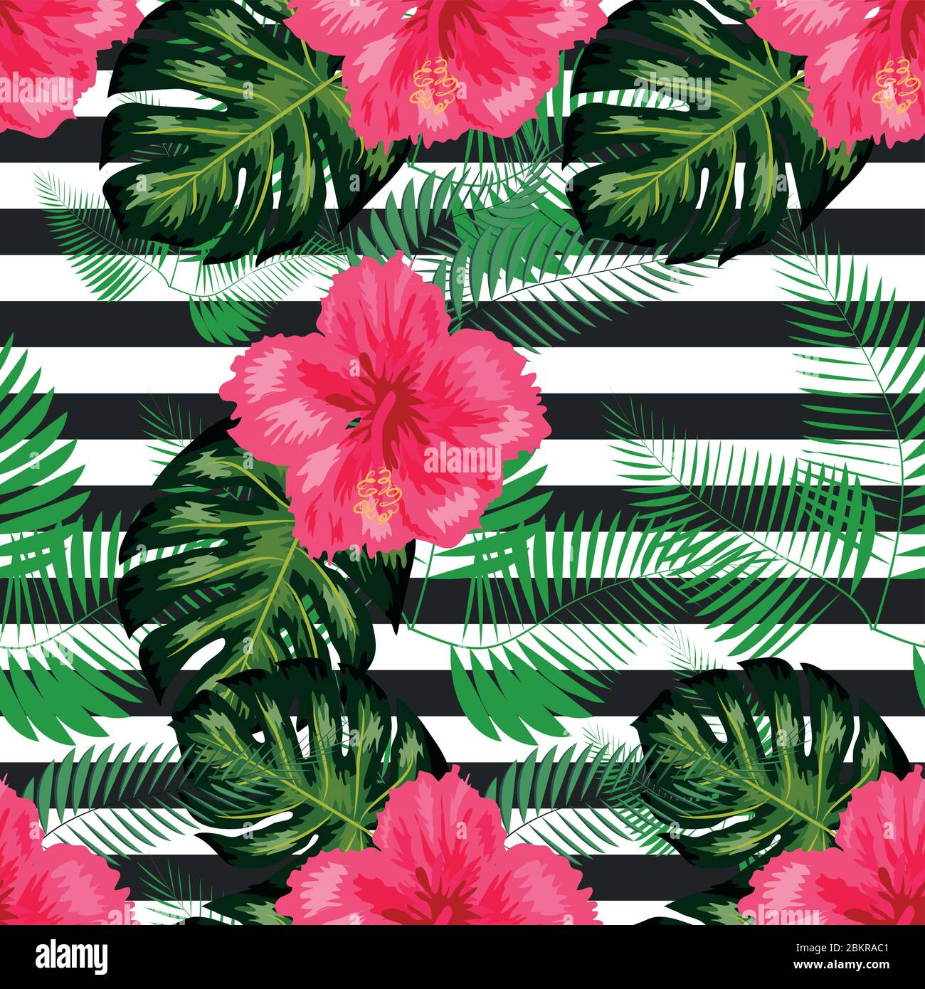 tropical illustration monstera plants leaves flowers hibiscus seamless ...