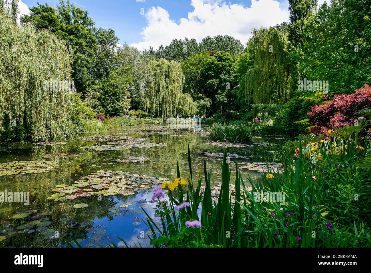 France, Eure, Giverny, Claude Monet's House and Gardens, The Water Garden Stock Photo