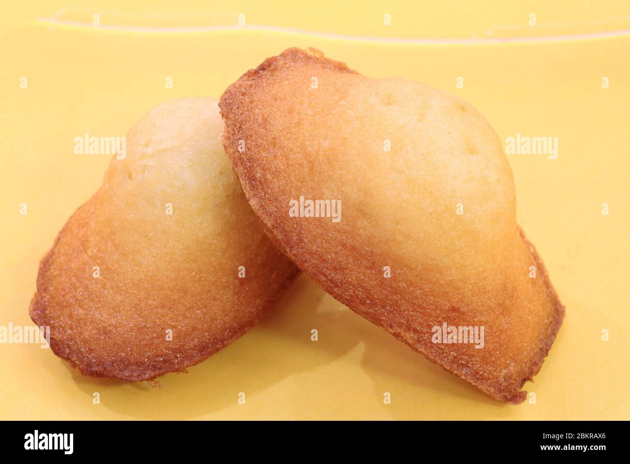 France, Haute Vienne, Limoges, Bijou biscuit factory, locally made madeleines (Saint Yrieix la Perche) since 1845 Stock Photo