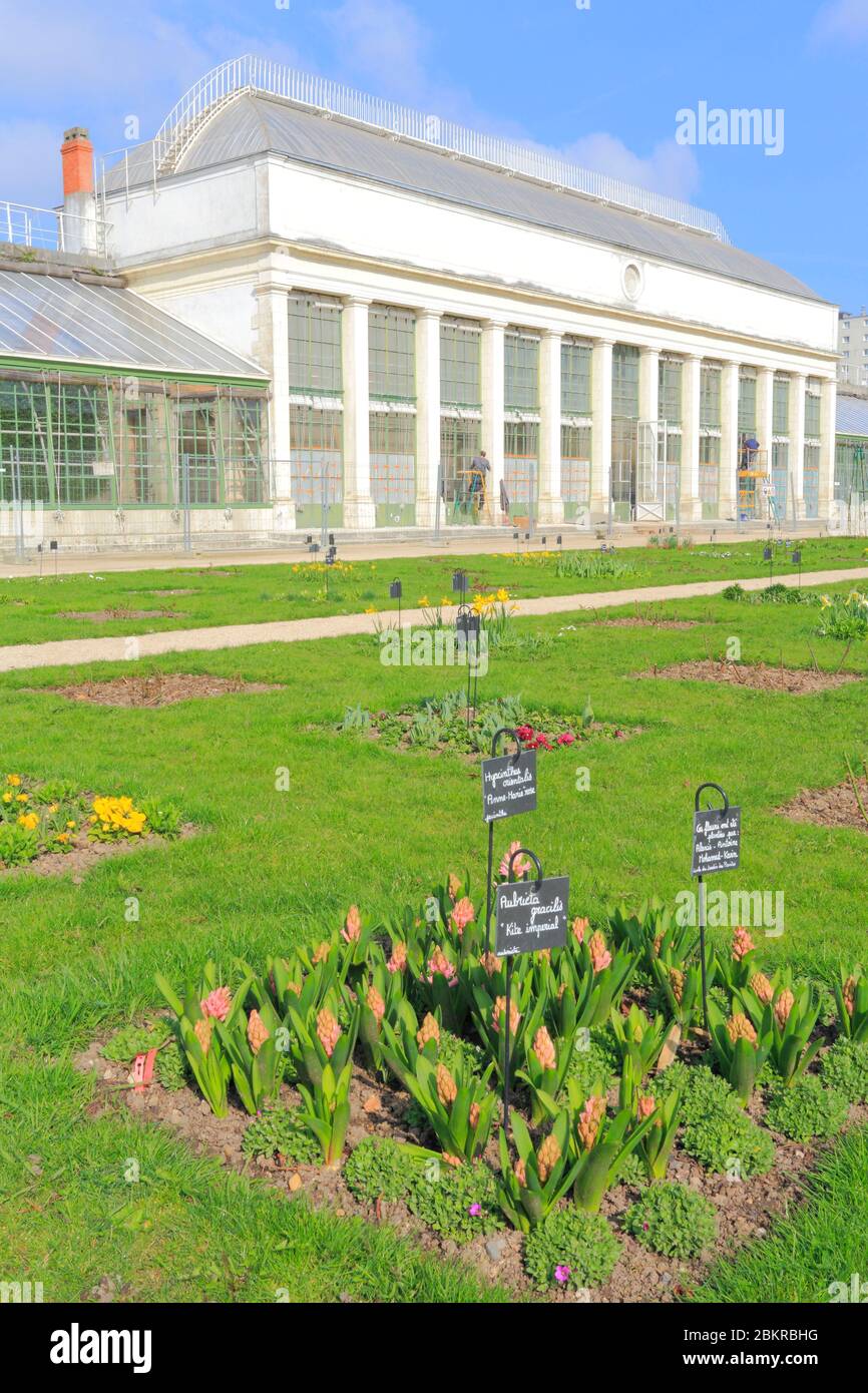 France Loiret Orleans Saint Marceau District Located Within The Perimeter Of The Loire Valley Natural Region Listed As World Heritage By Unesco Jardin Des Plantes Founded In 1834 Orangery Stock Photo Alamy