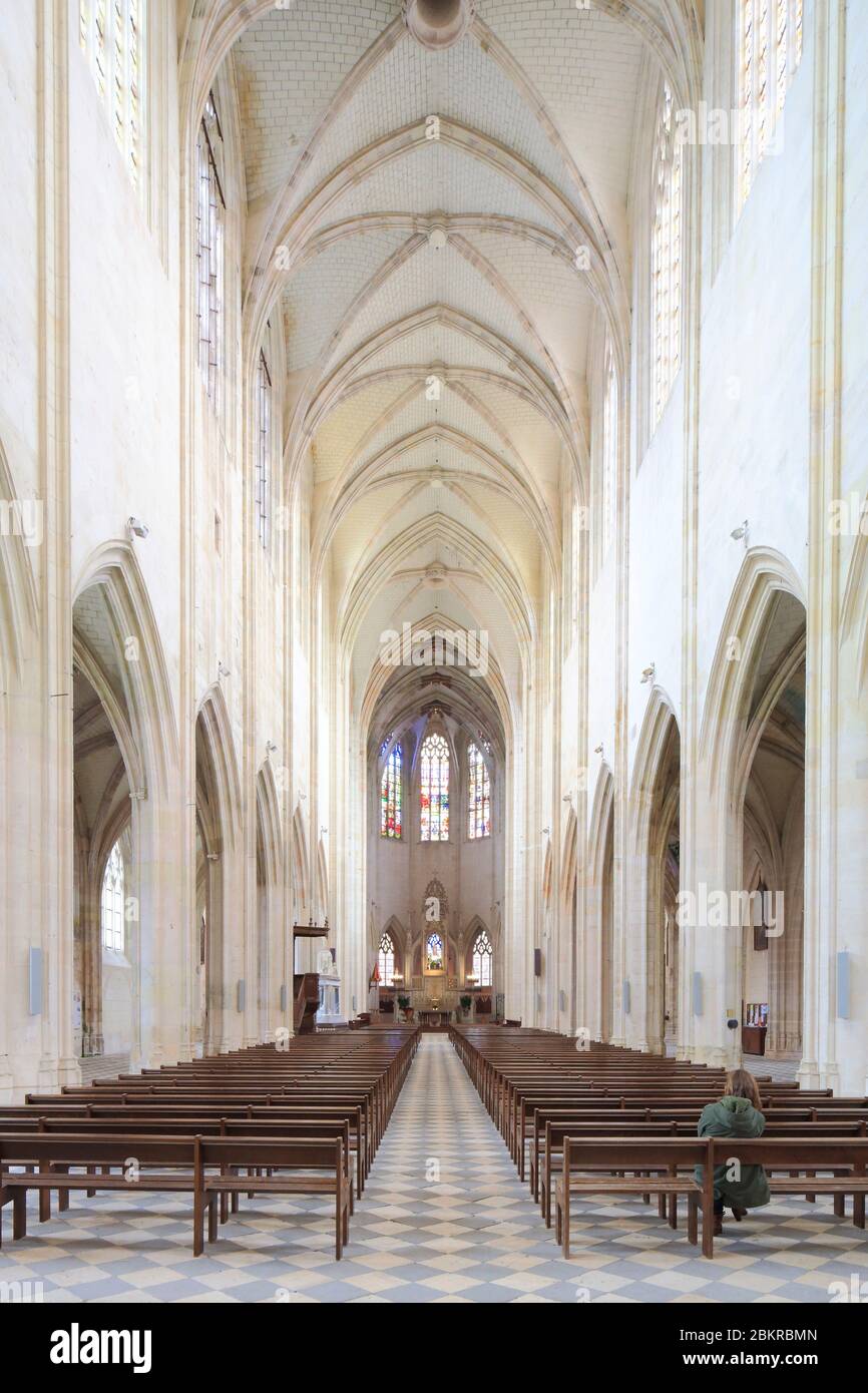France, Loiret, Clery Saint Andre, commune located in the perimeter of the Loire Valley listed as World Heritage by UNESCO, Gothic basilica Notre Dame de Clery Saint Andre, the nave Stock Photo
