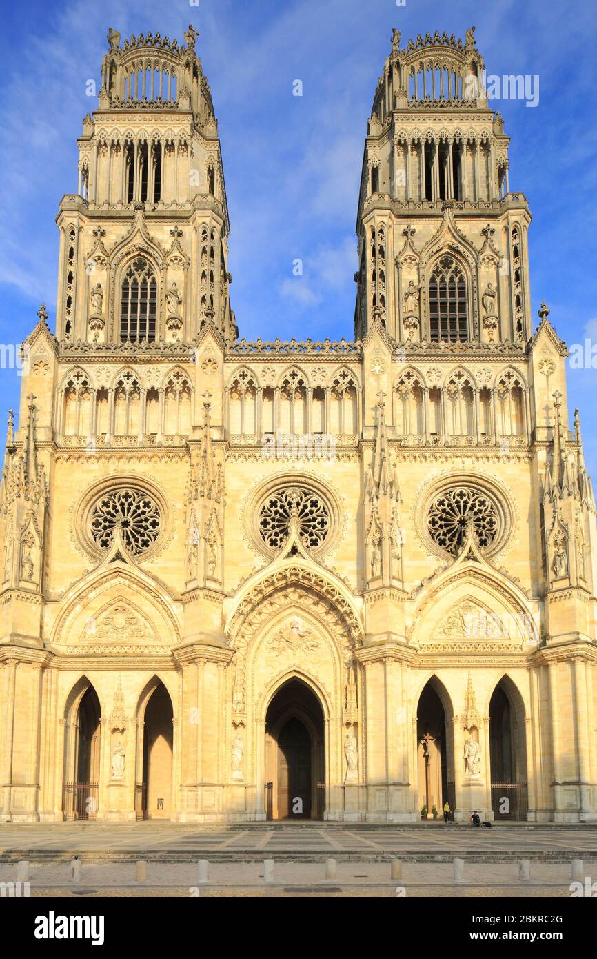 France, Loiret, Orleans, Sainte Croix cathedral (1601-1829) in Gothic style Stock Photo