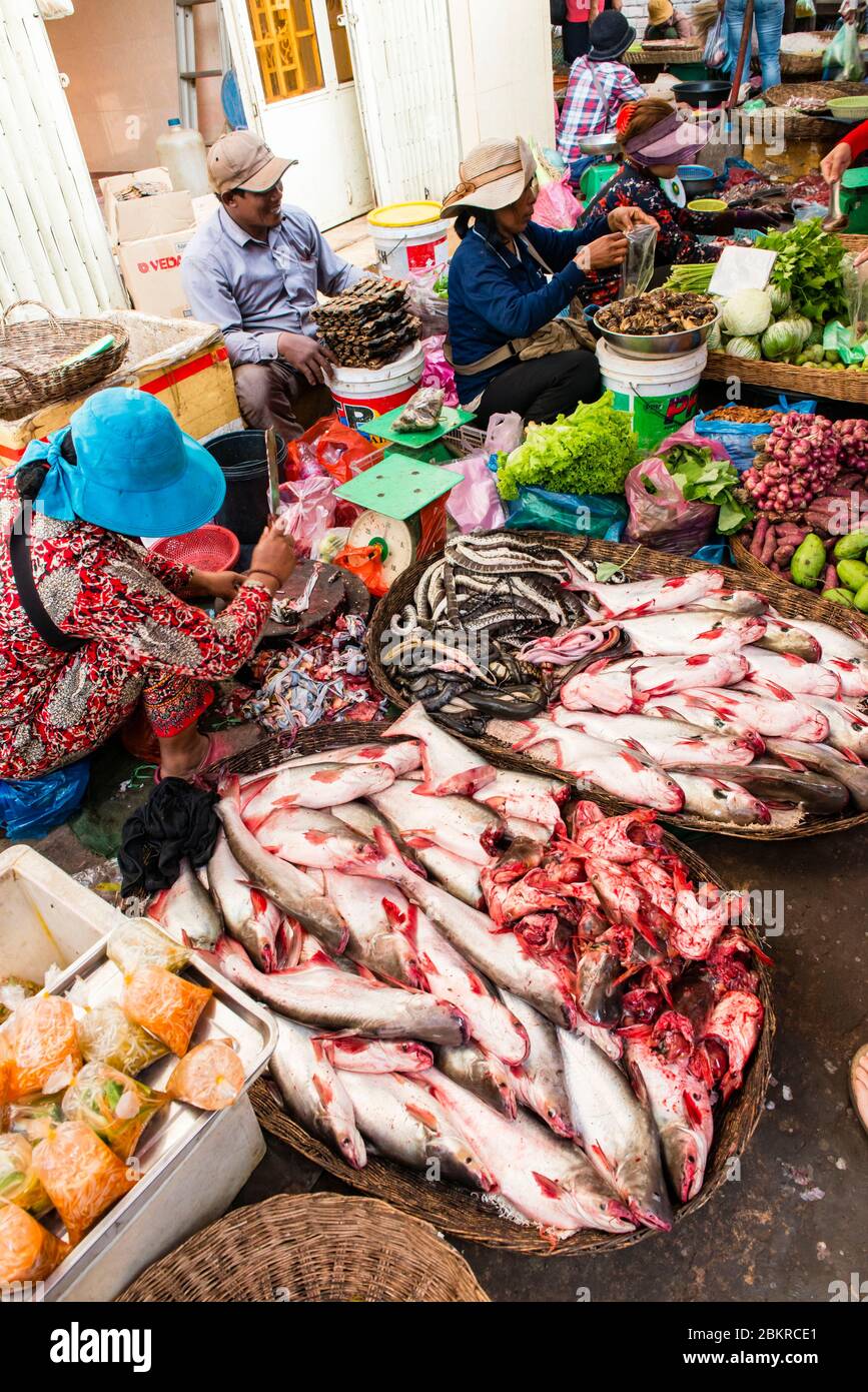 Cambodia, Siem Reap, fish sellers at the market Stock Photo Alamy