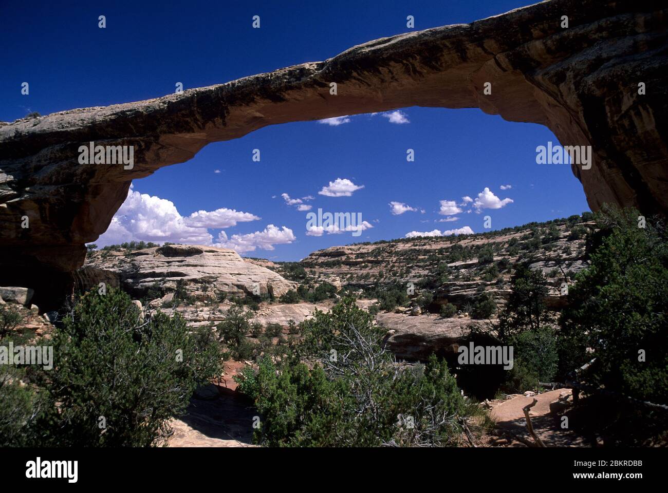 Owachomo Bridge, Natural Bridges National Monument, Utah Stock Photo Alamy