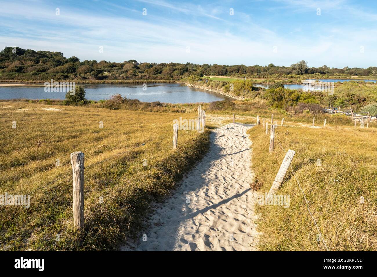 Veronika Zemanova azosi Ayol orgazmlari toplami