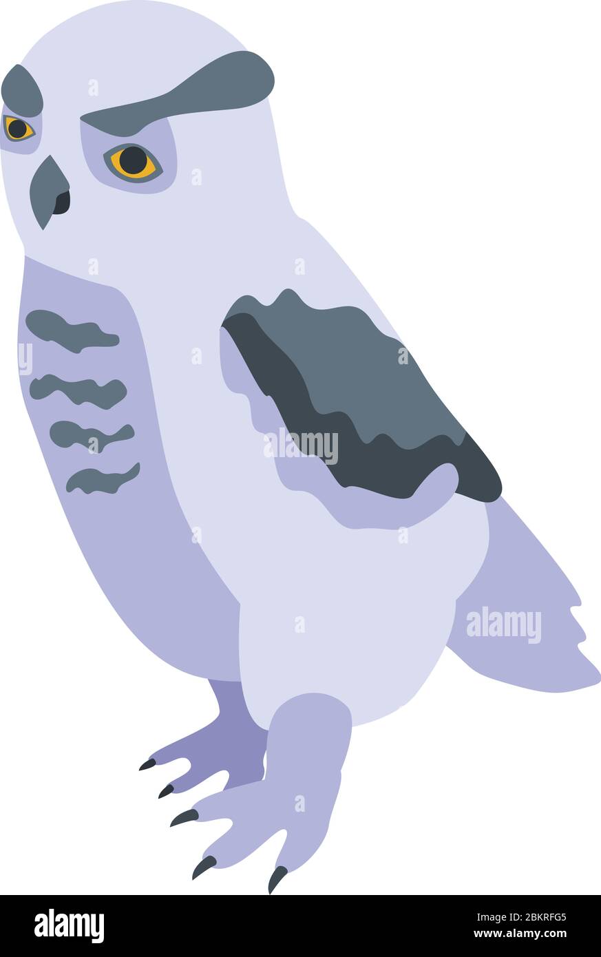 Smart owl icon, isometric style Stock Vector
