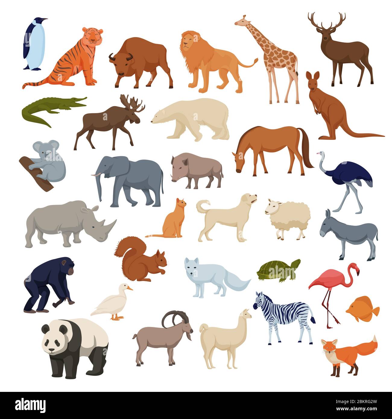 Wild home pets set. Wild animals bison elephant fox rhinoceros deer polar  bear Stock Vector Image & Art - Alamy