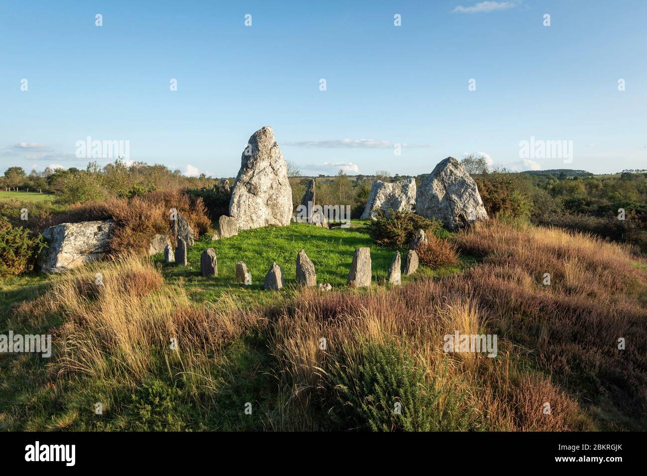 France, Ille-et-Vilaine, Saint-Just, the megalithic site of the Cojoux moors, menhirs of Chateau Bu Stock Photo