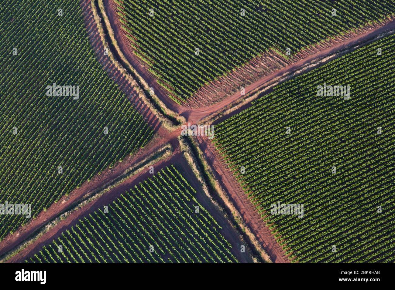 France, Herault, Merifons, vineyards and cross road, ruffe, red rock (aerial view) Stock Photo