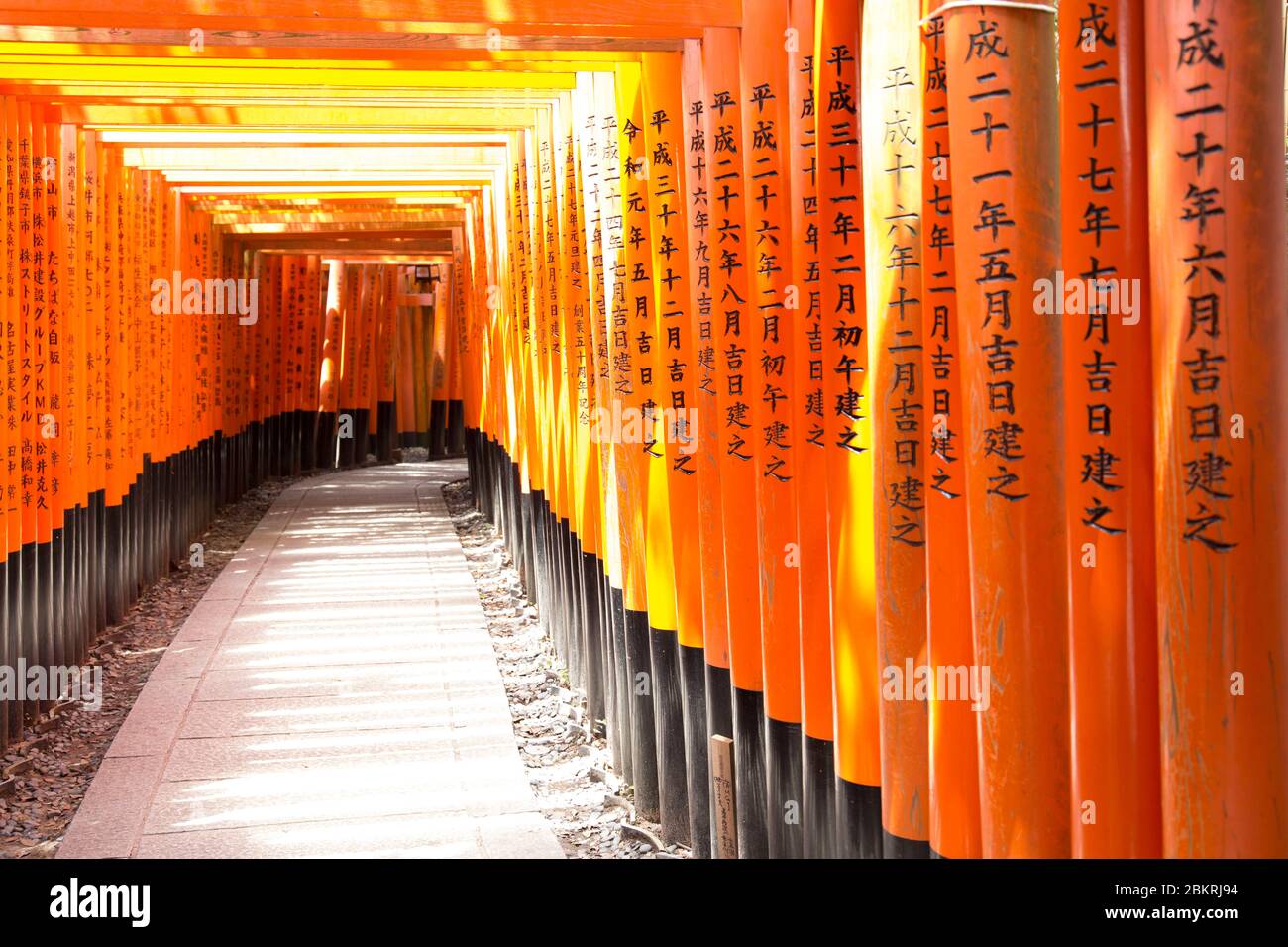 Japan, Honshu Island, Kansai Region, Kyoto, Fushimi ku district, Le Fushimi Inari taisha shrine, gate or torii Stock Photo