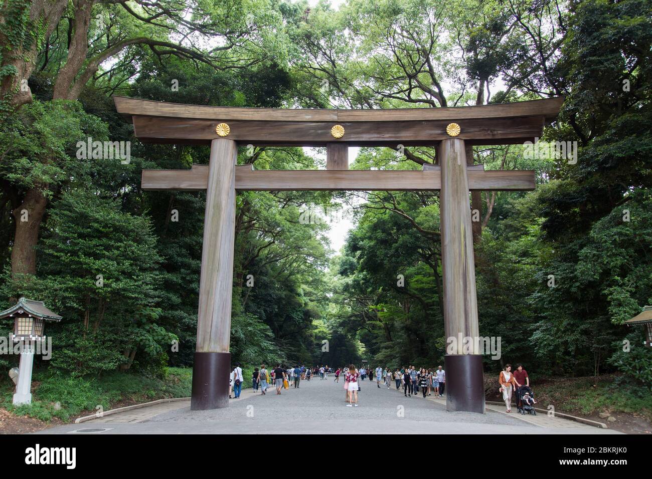 Japan, Honshu Island, Kanto region, Tokyo, Shibuya uartier, Harajuku, Meiji Jingu temple, wooden Torii gate Stock Photo