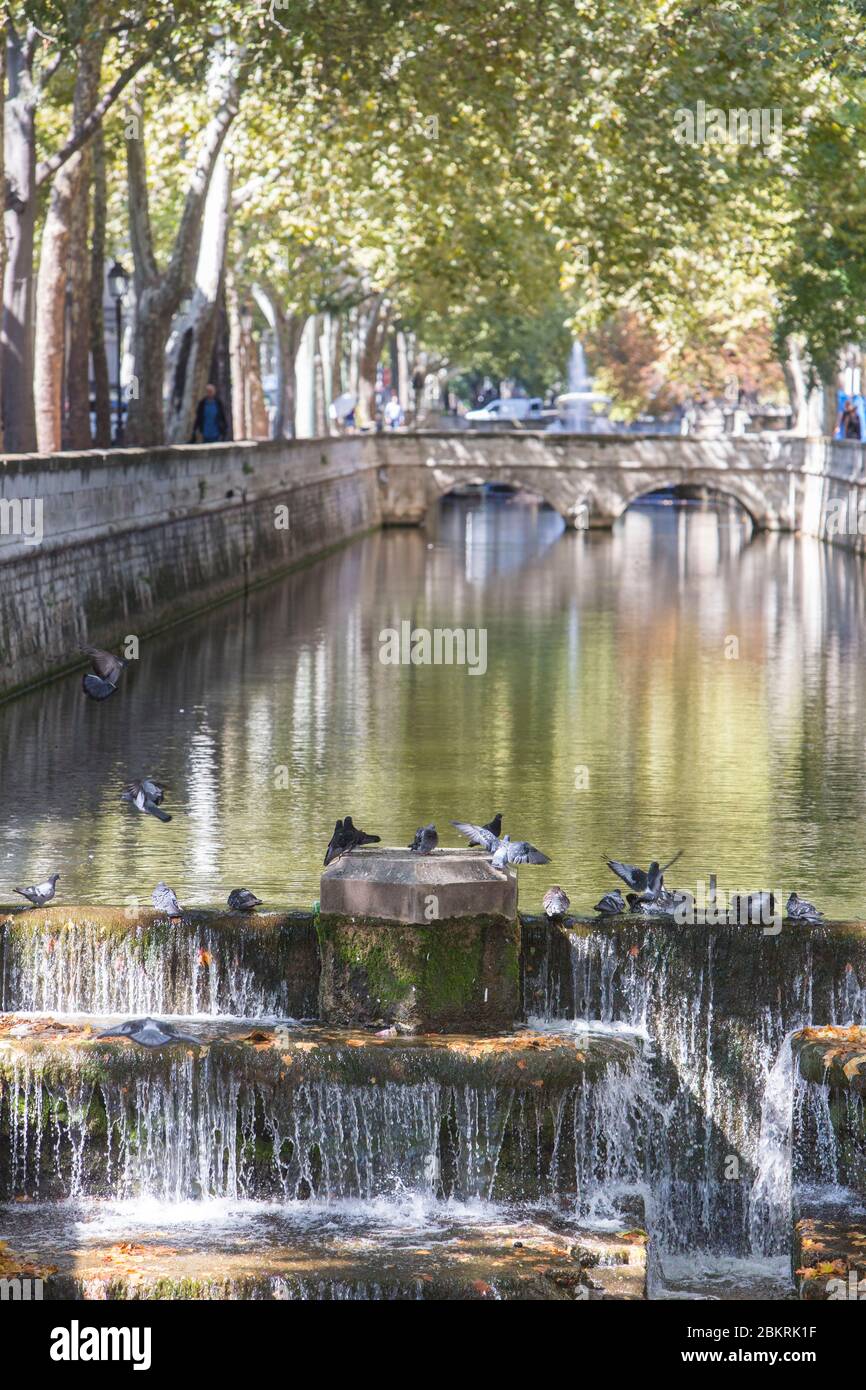 France, Gard, Nimes, canal quay and the Fontaine gardens Stock Photo