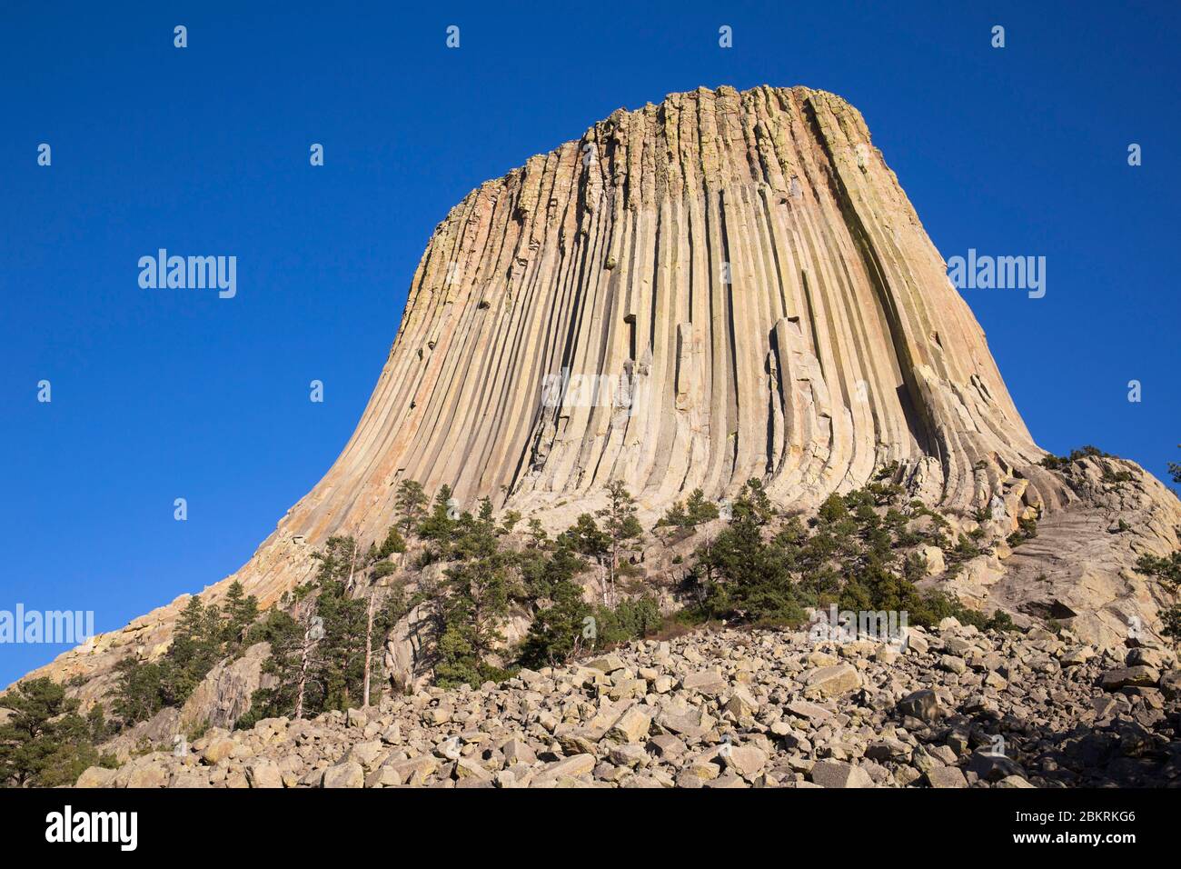 United States, Wyoming, Devils Tower (Devil's Tower) is a monolith of
