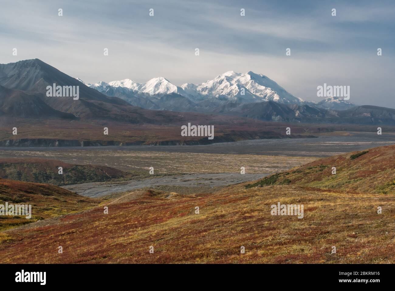 Colorful fall tundra with a distant view of Mount Denali-McKinley in the background in Alaska Stock Photo
