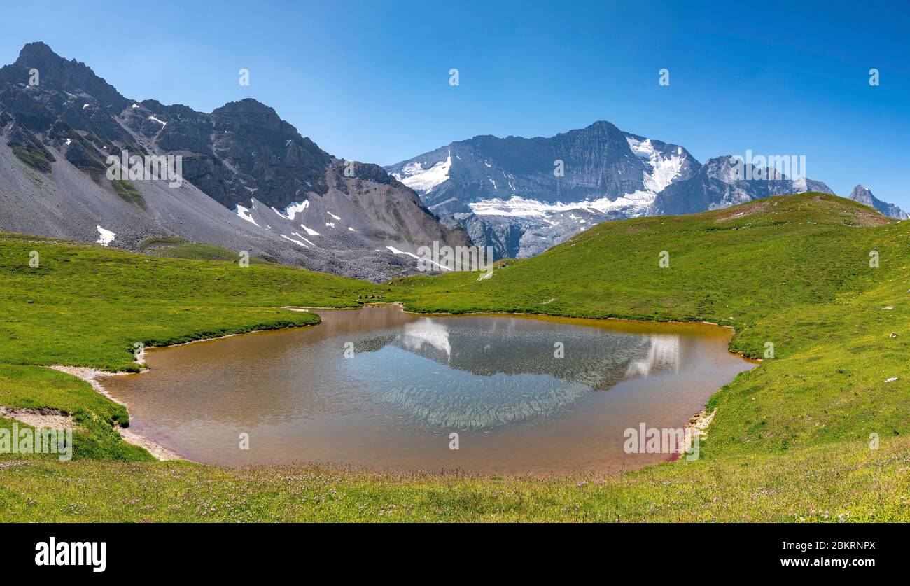 France, Savoie, Champagny-le-Haut, Vanoise national park, Tour du  Vallaisonnay, Viewpoint on the north face of the Grande Casse (3855m) from  the Lac du Grand Plan Stock Photo - Alamy