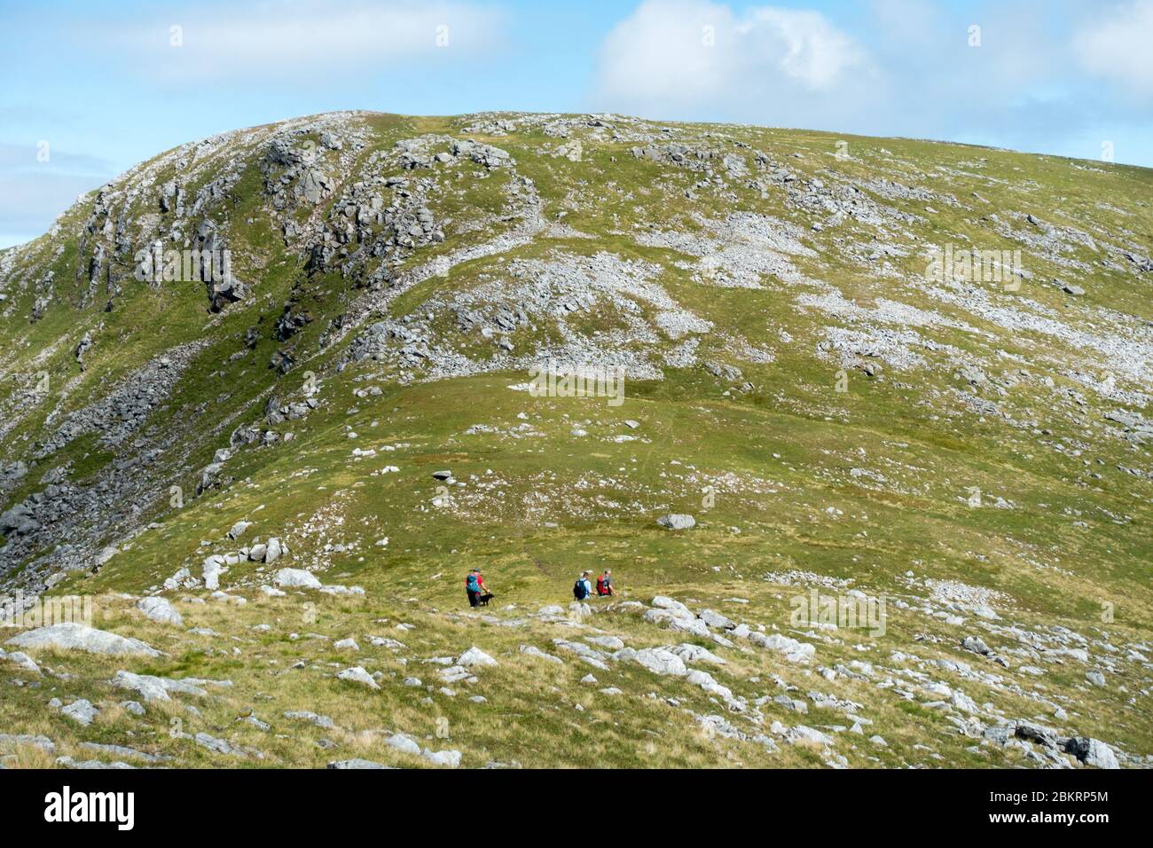 3 male hillwalkers heading for Creach Bheinn, a Corbett in the NW Highlands of Scotland Stock Photo
