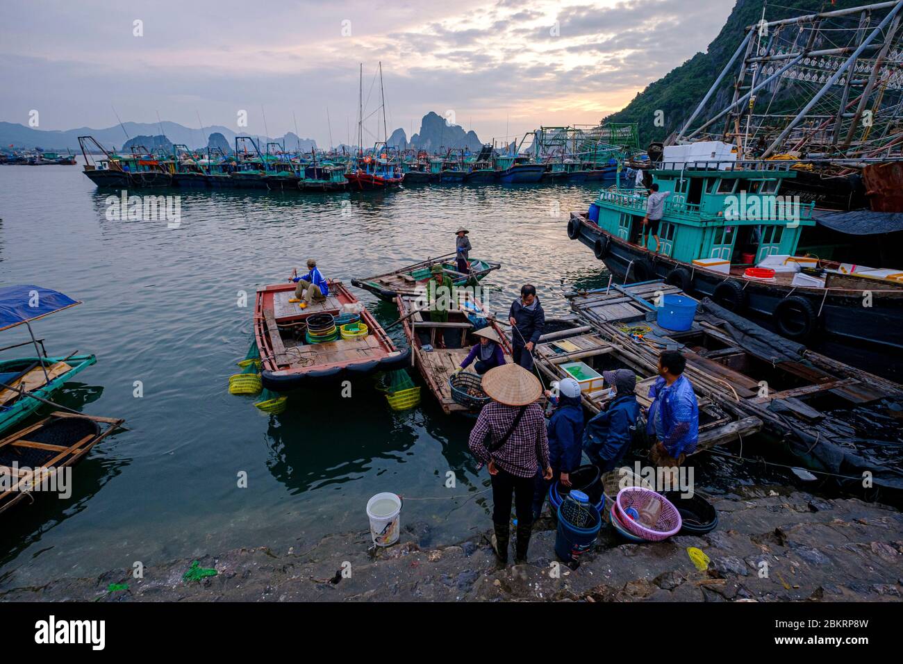 Vietnam, Quang Ninh province, Bai Thu Long bay, a World heritage site