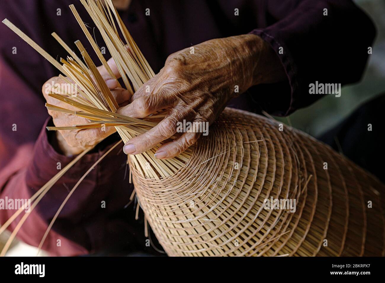 Vietnam, Hung Yen province, near Hanoi, village of Su Thy, bamboo basket-work, fish-trap Stock Photo