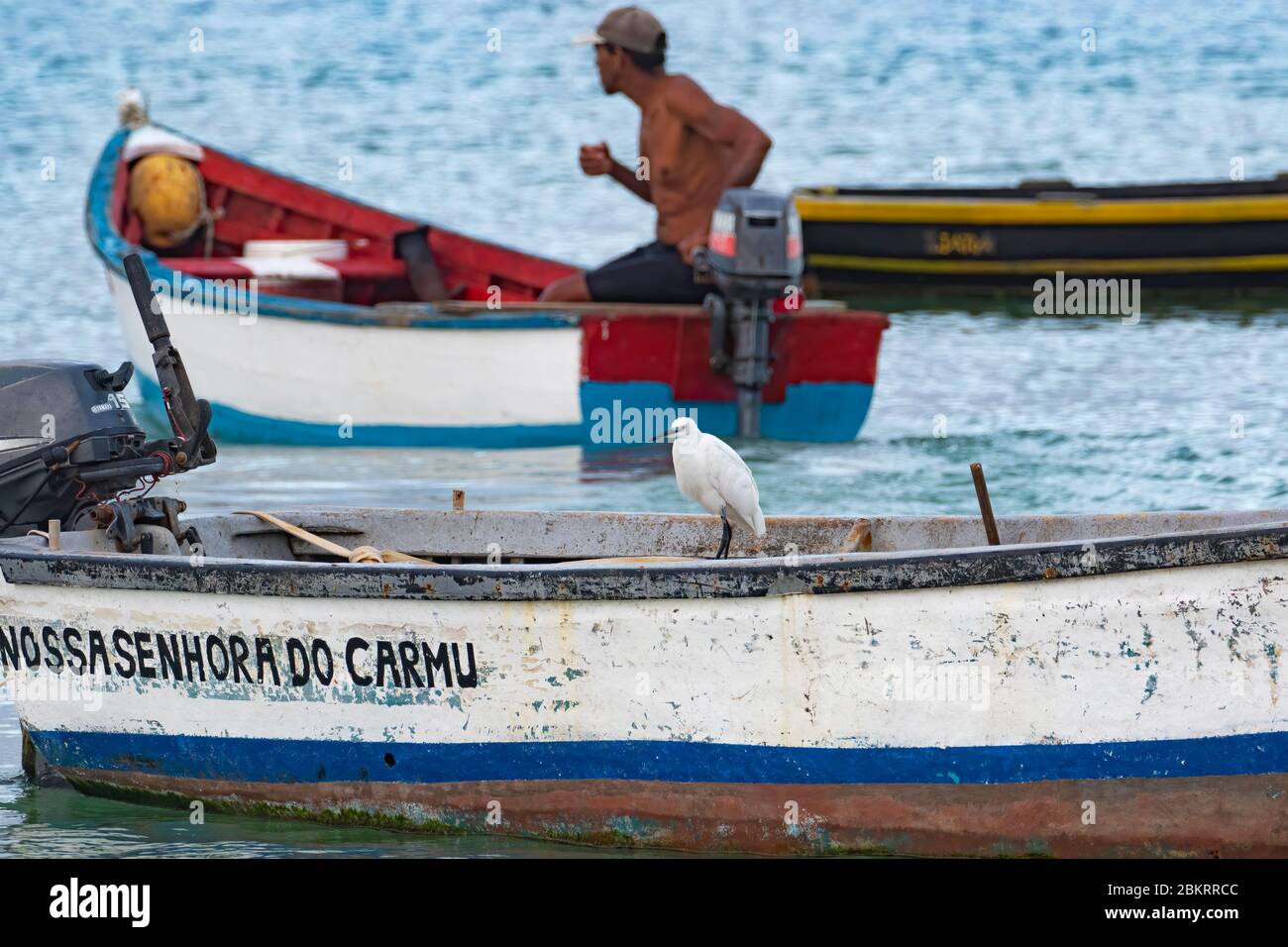 Little egret (Egretta garzetta) perched on fishing boat in the harbour of Sal Rei on the island Boa Vista, Cape Verde / Cabo Verde archipelago Stock Photo